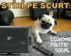 STIRI PE SCURT.FOARTE PE SCURT.SI PUTIN UMOR!!!