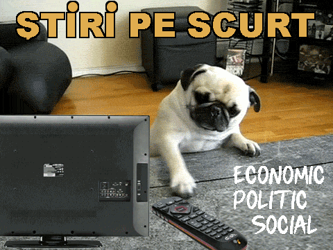 STIRI PE SCURT.FOARTE PE SCURT.SI PUTIN UMOR!!!