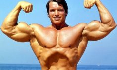 S-A INTAMPLAT PE 17 NOIEMBRIE