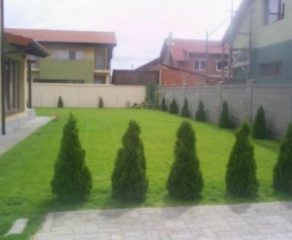 Primăria Reșița, apel disperat: „Întrețineți voi spațiile verzi!”