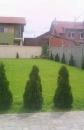 Primăria Reșița, apel disperat: „Întrețineți voi spațiile verzi!”