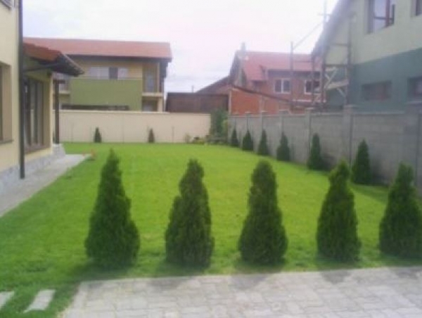 Primăria Reșița, apel disperat: „Întrețineți voi spațiile verzi!”