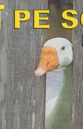 STIRI PE SCURT.FOARTE PE SCURT.SI PUTIN UMOR!