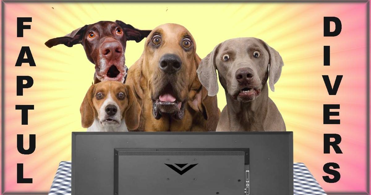 STIRI PE SCURT.FOARTE PE SCURT.SI PUTIN UMOR!!!