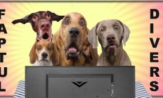 STIRI PE SCURT.FOARTE PE SCURT.SI PUTIN UMOR!!!