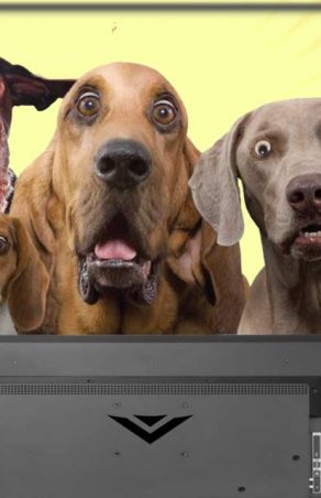 STIRI PE SCURT.FOARTE PE SCURT.SI PUTIN UMOR!!!