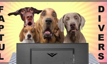 STIRI PE SCURT.FOARTE PE SCURT.SI PUTIN UMOR!!!