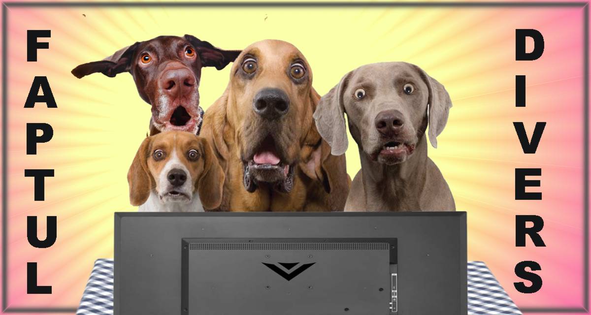 STIRI PE SCURT.FOARTE PE SCURT.SI PUTIN UMOR!!!