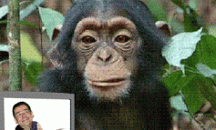 STIRI PE SCURT.FOARTE PE SCURT.SI PUTIN UMOR