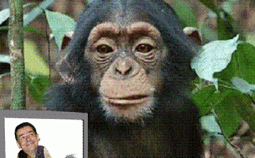 STIRI PE SCURT.FOARTE PE SCURT.SI PUTIN UMOR