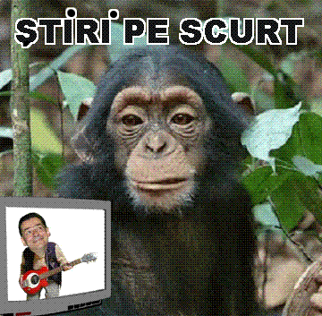 STIRI PE SCURT.FOARTE PE SCURT.SI PUTIN UMOR