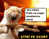 STIRI PE SCURT.FOARTE PE SCURT.SI PUTIN UMOR