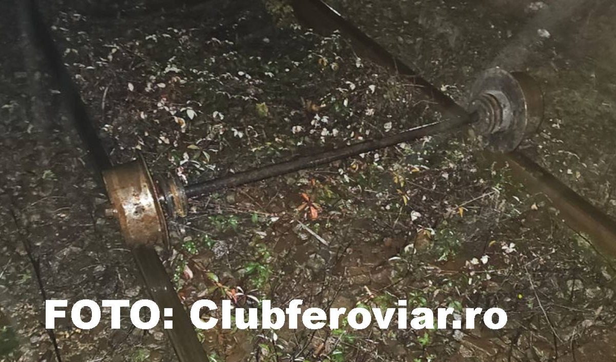Caraș-Severin-TRAGEDIE EVITATĂ LA MUSTAȚĂ PE CALEA FERATĂ!