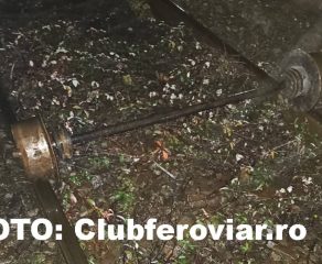 Caraș-Severin-TRAGEDIE EVITATĂ LA MUSTAȚĂ PE CALEA FERATĂ!