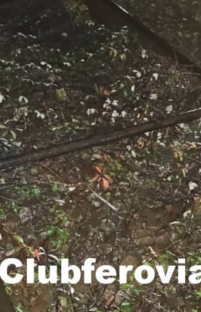 Caraș-Severin-TRAGEDIE EVITATĂ LA MUSTAȚĂ PE CALEA FERATĂ!