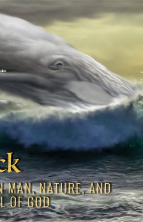 S-A INTAMPLAT PE 20 NOIEMBRIE