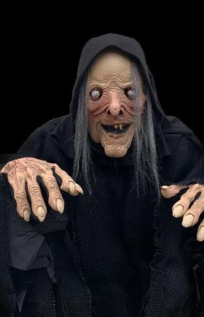 JAF CA-N FILME LA LUGOJ! UN BĂRBAT DIN CARAȘ-SEVERIN, DEGHIZAT ÎN VRĂJITOARE, A DAT LOVITURA LA ALTEX!