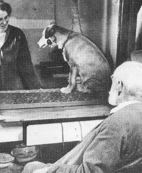 S-A INTAMPLAT PE 10 DECEMBRIE