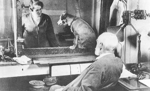 S-A INTAMPLAT PE 10 DECEMBRIE