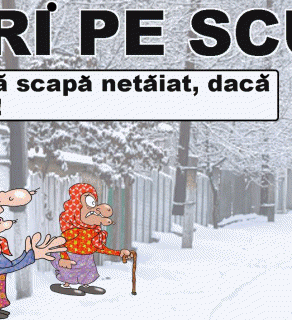 STIRI PE SCURT.FOARTE PE SCURT.SI PUTIN UMOR!