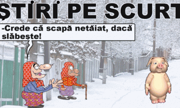 STIRI PE SCURT.FOARTE PE SCURT.SI PUTIN UMOR!