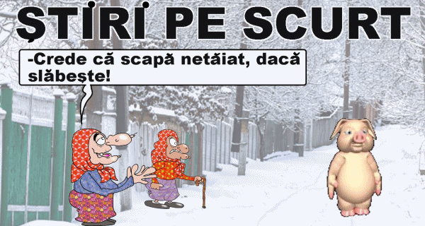 STIRI PE SCURT.FOARTE PE SCURT.SI PUTIN UMOR!