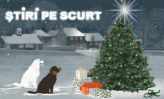 STIRI PE SCURT.FOARTE PE SCURT.SI PUTIN UMOR