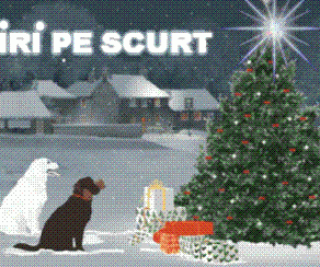 STIRI PE SCURT.FOARTE PE SCURT.SI PUTIN UMOR