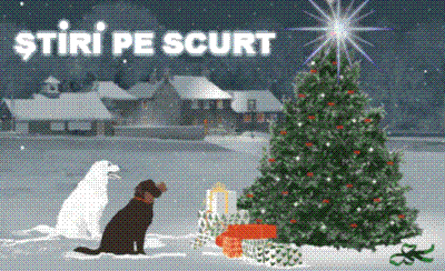 STIRI PE SCURT.FOARTE PE SCURT.SI PUTIN UMOR