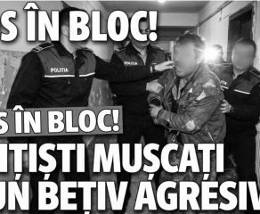 SCANDAL MONSTRU ÎN BOCȘA! Trei polițiști, MUȘCAȚI ca de un animal sălbatic de un bărbat turbat care a distrus un local și a terorizat o femeie!