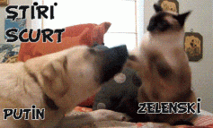 STIRI PE SCURT.FOARTE PE SCURT.SI PUTIN UMOR!