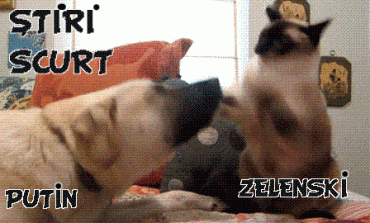 STIRI PE SCURT.FOARTE PE SCURT.SI PUTIN UMOR!