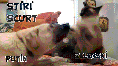 STIRI PE SCURT.FOARTE PE SCURT.SI PUTIN UMOR!