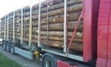 MOLDOVA NOUA-SCANDAL ȘI PERCHEZIȚII LA OCOL SILVIC! Un angajat a fost băgat la răcoare