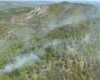 IADUL S-A DEZLĂNȚUIT PE VALEA TIMIȘULUI! PĂDUREA DE LA ILOVA ARDE CA O TORȚĂ, IAR POMPIERII SE LUPTĂ CU FLĂCĂRILE URIAȘE
