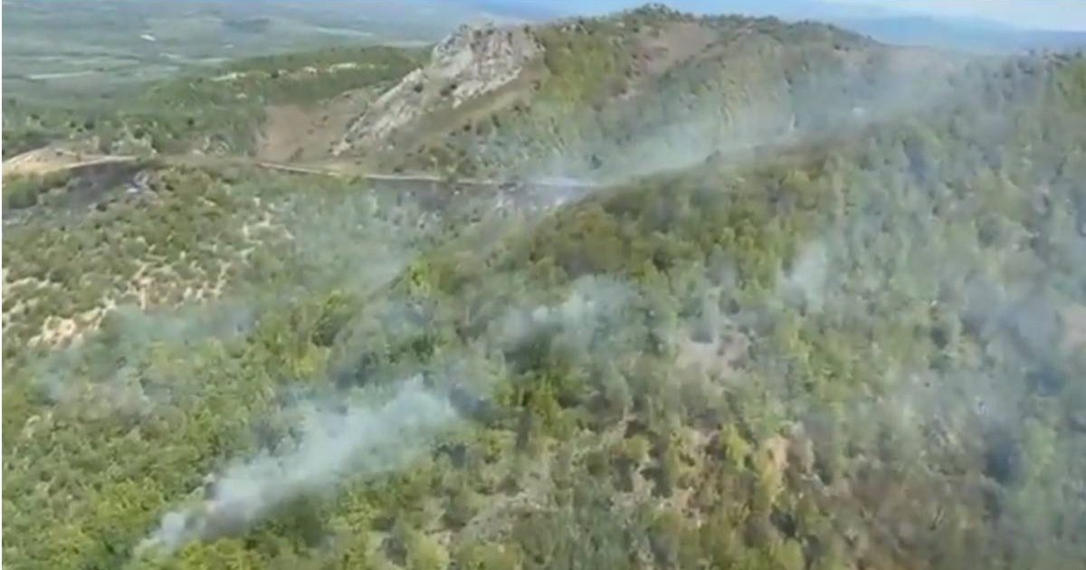 IADUL S-A DEZLĂNȚUIT PE VALEA TIMIȘULUI! PĂDUREA DE LA ILOVA ARDE CA O TORȚĂ, IAR POMPIERII SE LUPTĂ CU FLĂCĂRILE URIAȘE