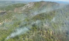 IADUL S-A DEZLĂNȚUIT PE VALEA TIMIȘULUI! PĂDUREA DE LA ILOVA ARDE CA O TORȚĂ, IAR POMPIERII SE LUPTĂ CU FLĂCĂRILE URIAȘE