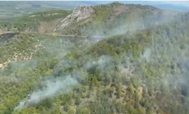 IADUL S-A DEZLĂNȚUIT PE VALEA TIMIȘULUI! PĂDUREA DE LA ILOVA ARDE CA O TORȚĂ, IAR POMPIERII SE LUPTĂ CU FLĂCĂRILE URIAȘE