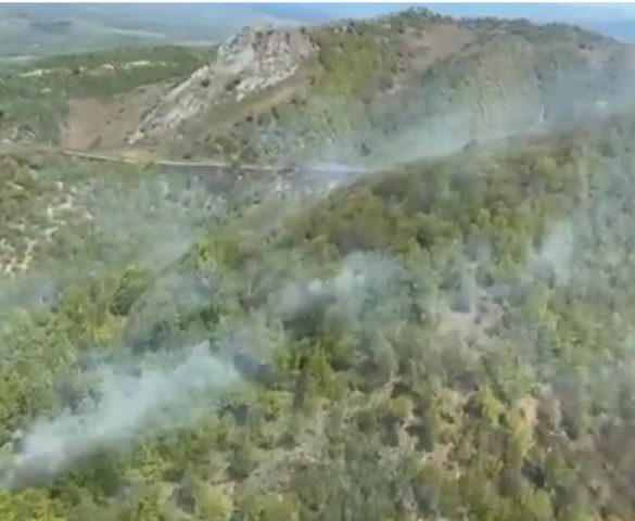 IADUL S-A DEZLĂNȚUIT PE VALEA TIMIȘULUI! PĂDUREA DE LA ILOVA ARDE CA O TORȚĂ, IAR POMPIERII SE LUPTĂ CU FLĂCĂRILE URIAȘE