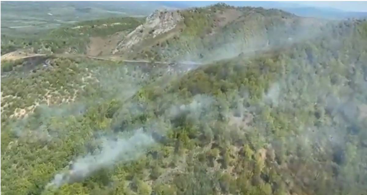IADUL S-A DEZLĂNȚUIT PE VALEA TIMIȘULUI! PĂDUREA DE LA ILOVA ARDE CA O TORȚĂ, IAR POMPIERII SE LUPTĂ CU FLĂCĂRILE URIAȘE