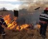 INFERN ÎN CARAȘ-SEVERIN! Județul arde la propriu: 145 de hectare făcute scrum într-o singură zi!