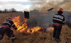INFERN ÎN CARAȘ-SEVERIN! Județul arde la propriu: 145 de hectare făcute scrum într-o singură zi!