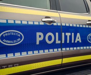 BOMBĂ ÎN CARAȘ-SEVERIN! A jurat că-l va iubi, dar l-a aruncat ca pe un gunoi pe marginea șoselei!