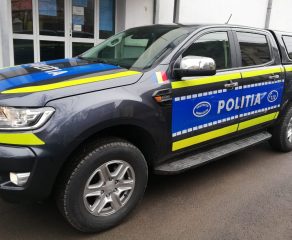 ORORILE DIN CARAȘOVA! O tânără de 21 de ani, acuzată că și-a schingiuit câinele cu un lanț și o scară! Unde a ascuns cadavrul bietului animal?