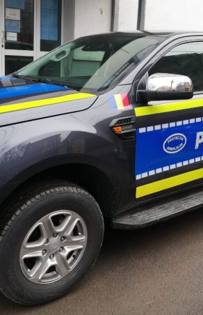 ORORILE DIN CARAȘOVA! O tânără de 21 de ani, acuzată că și-a schingiuit câinele cu un lanț și o scară! Unde a ascuns cadavrul bietului animal?
