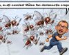 INVAZIE APOCALIPTICĂ LA MOLDOVA NOUĂ! ORAȘUL A FOST DEVORAT DE VAMPIRII ÎNARIPAȚI!