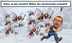 INVAZIE APOCALIPTICĂ LA MOLDOVA NOUĂ! ORAȘUL A FOST DEVORAT DE VAMPIRII ÎNARIPAȚI!