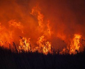 DEZASTRU ÎN CARAȘ-SEVERIN! Pompierii duc o luptă crâncenă cu flăcările: intervenții dramatice pe uscat și din aer!