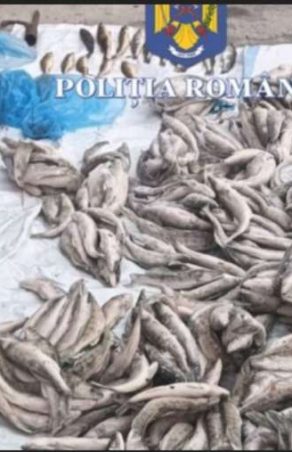 BOMBĂ PE CLISURA DUNĂRII!