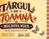 TÂRGUL DE TOAMNĂ 2026, LA MOLDOVA NOUĂ! Trei zile de muzică, bunătăți, tradiții și distracție pe malul Dunării